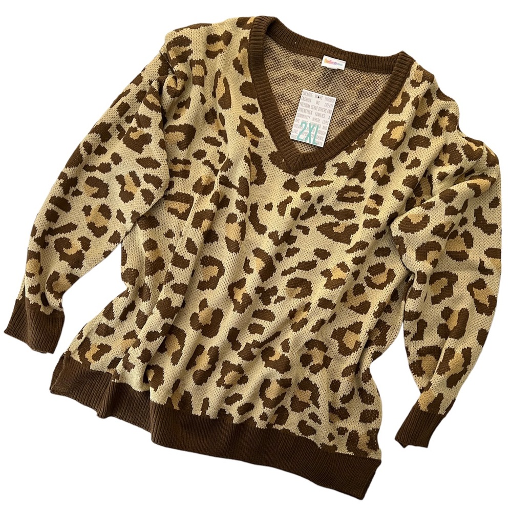 LuLaRoe Torrie V-Neck Sweater